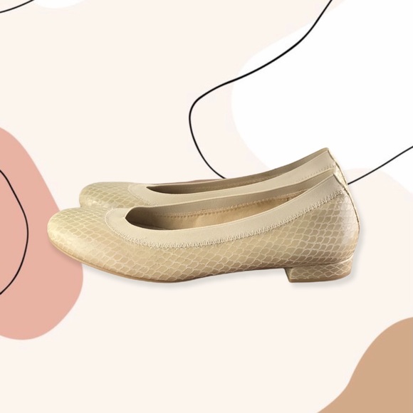 Stuart Weitzman Snake Print Ballet Flats - Picture 1 of 7